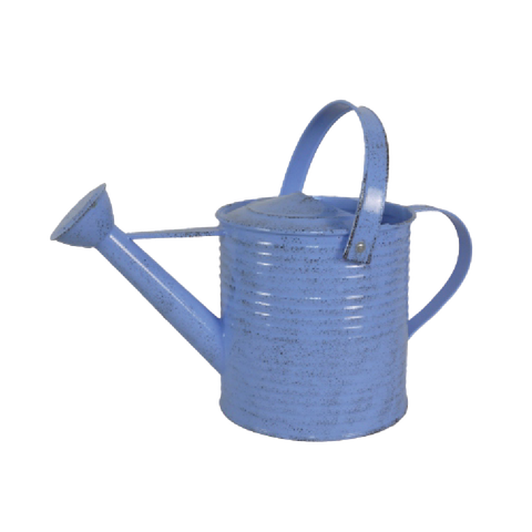 Large Capacity Metal Watering Can 2.7L Garden Water Cans Galvanized For Plant